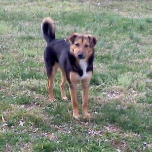 Meet your Posher, Patricia